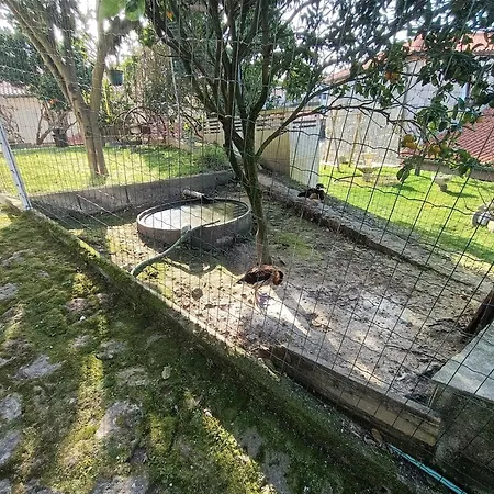 Casa De Santa Luzia A