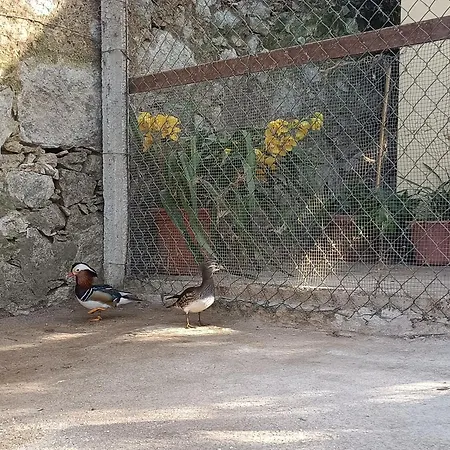 Casa De Santa Luzia A Appartamento