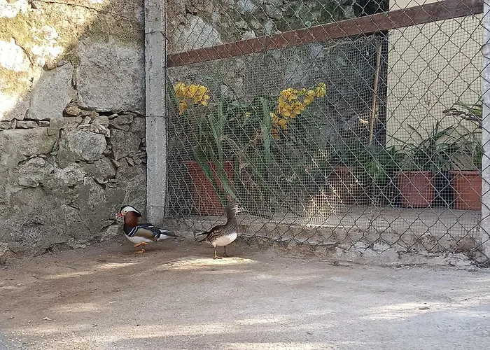 Casa De Santa Luzia A Appartamento
