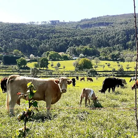 Casa De Santa Luzia A شقة