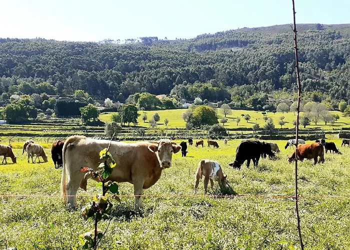 Casa De Santa Luzia A Apartment