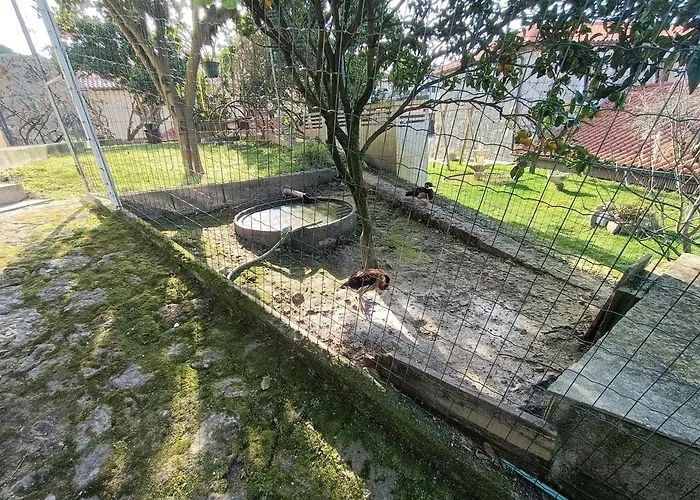 Casa De Santa Luzia A